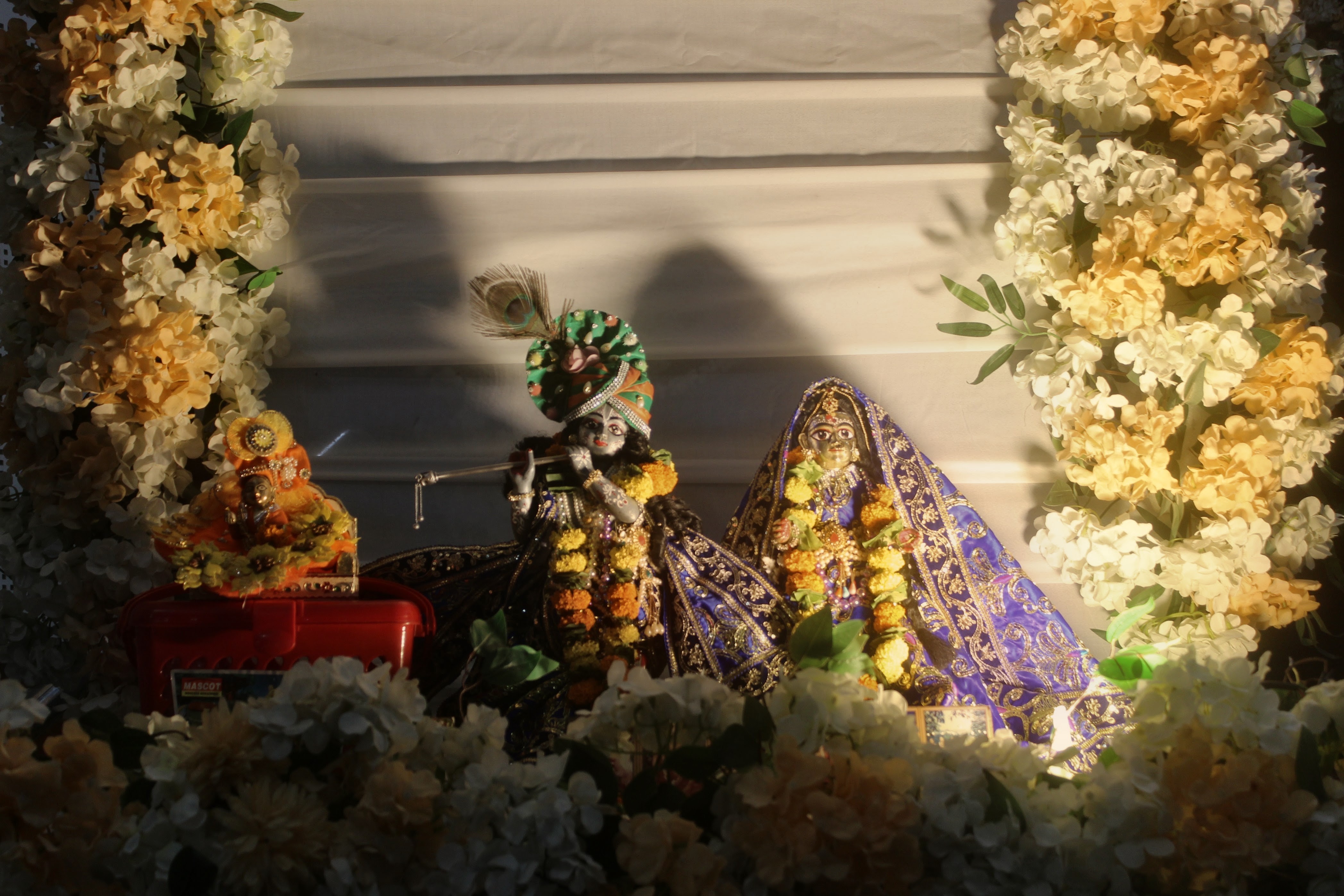Vigraha darshan